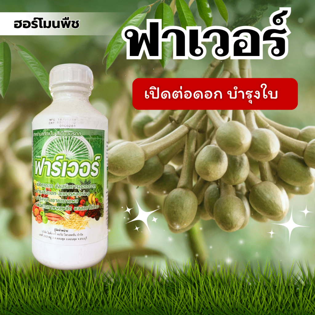 ฟาเวอร์ สาหร่ายอะมิโน (1000ML) เปิดต่อดอก บำรุงใบ