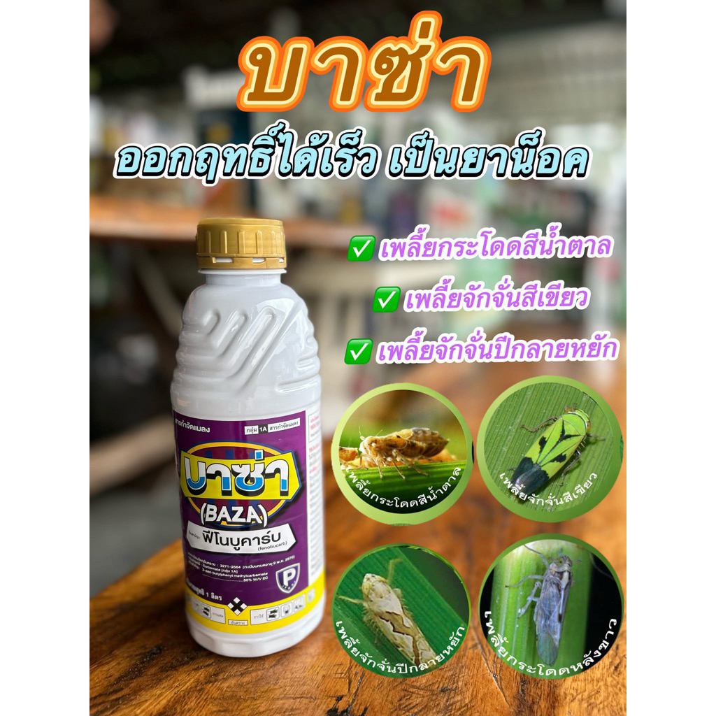 บาซ่า(ฟีโนบูคาร์บ50%w/v)EC