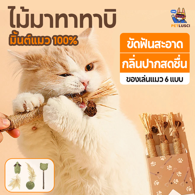 PETLUSCI😻38CM อันใหญ่มาก ไม้มาทาทาบิ ขัดฟันแมว ของเล่นแมว 6แบบ ลดคราบหินปูน Matatabi แคทนิปญี่ปุ่น