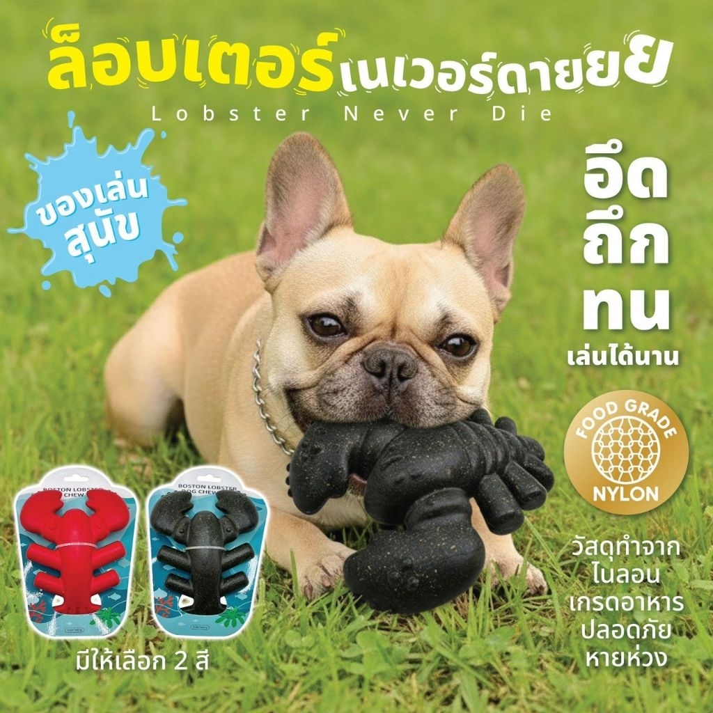 ของเล่นสุนัขคุณภาพส่งออก : ล็อบสเตอร์ไม่มีวันตาย