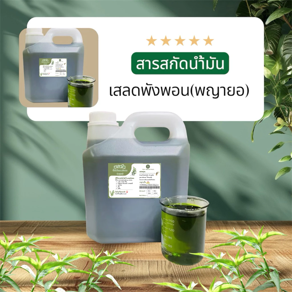 สารสกัดน้ำมันเสลดพังพอนตัวเมีย(พญายอ)เข้มข้น