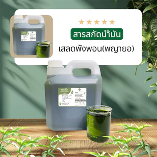 สารสกัดน้ำมันเสลดพังพอนตัวเมีย(พญายอ)เข้มข้น