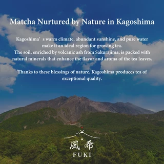Fuki Matcha Powder ผงมัทฉะ Ceremonial Grade Blend Premium - Green Tea from Kagoshima Japan