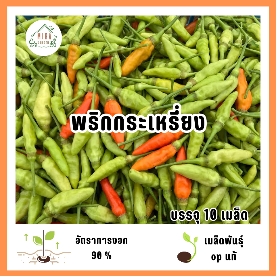 เมล็ดพันธุ์พริกกระเหรี่ยง 10 เมล็ด