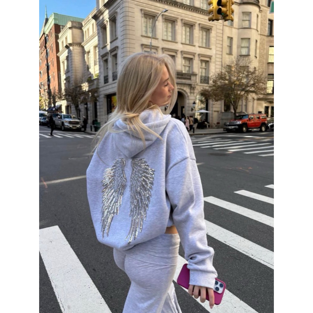 (preorder) subdued wings sequin hoodie 🪽