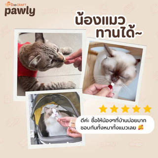 Pawly Milky Pro นมอัดเม็ดเสริมโพรไบโอติก ปราศจากแลคโตส อร่อย ลำไส้ดี ขับถ่ายง่าย- [80กรัม]