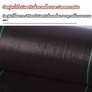 (หนาขึ้น) พลาสติกคลุมดิน ผ้าคลุมหญ้า พลาสติกคลุมวัชพืช กำจัดวัชพืช ผ้าคลุมวัชพืช พลาสติกเกรดส่งออก ผสมUV ฆ่าหญ้า 3×100