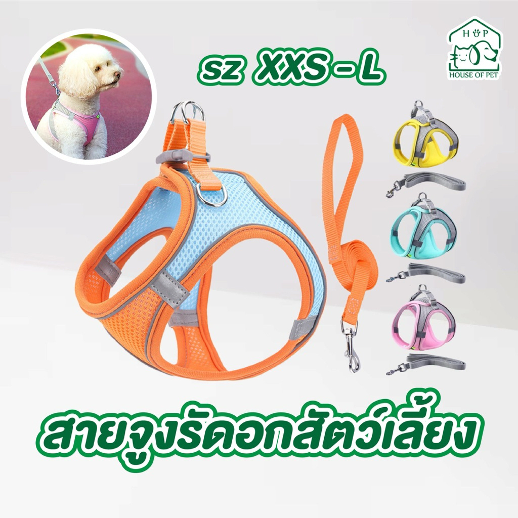 ชุดสายจูงสายจูงสัตว์เลี้ยงสะท้อนแสง ระบายอากาศได้ดี สายจูงสุนัขสายรัดลูกแมวปรับได้ ทนทาน