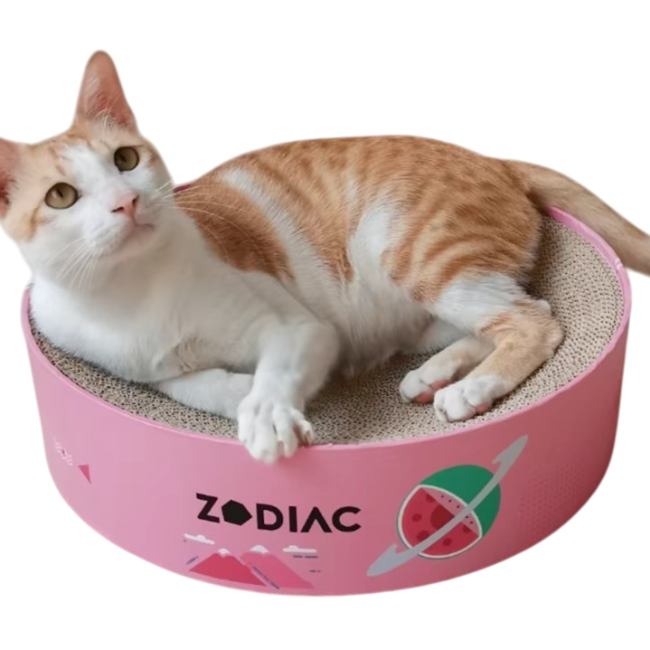 อ่างลับเล็บแมว ที่ฝนเล็บแมว อ่างวงกลมแมว