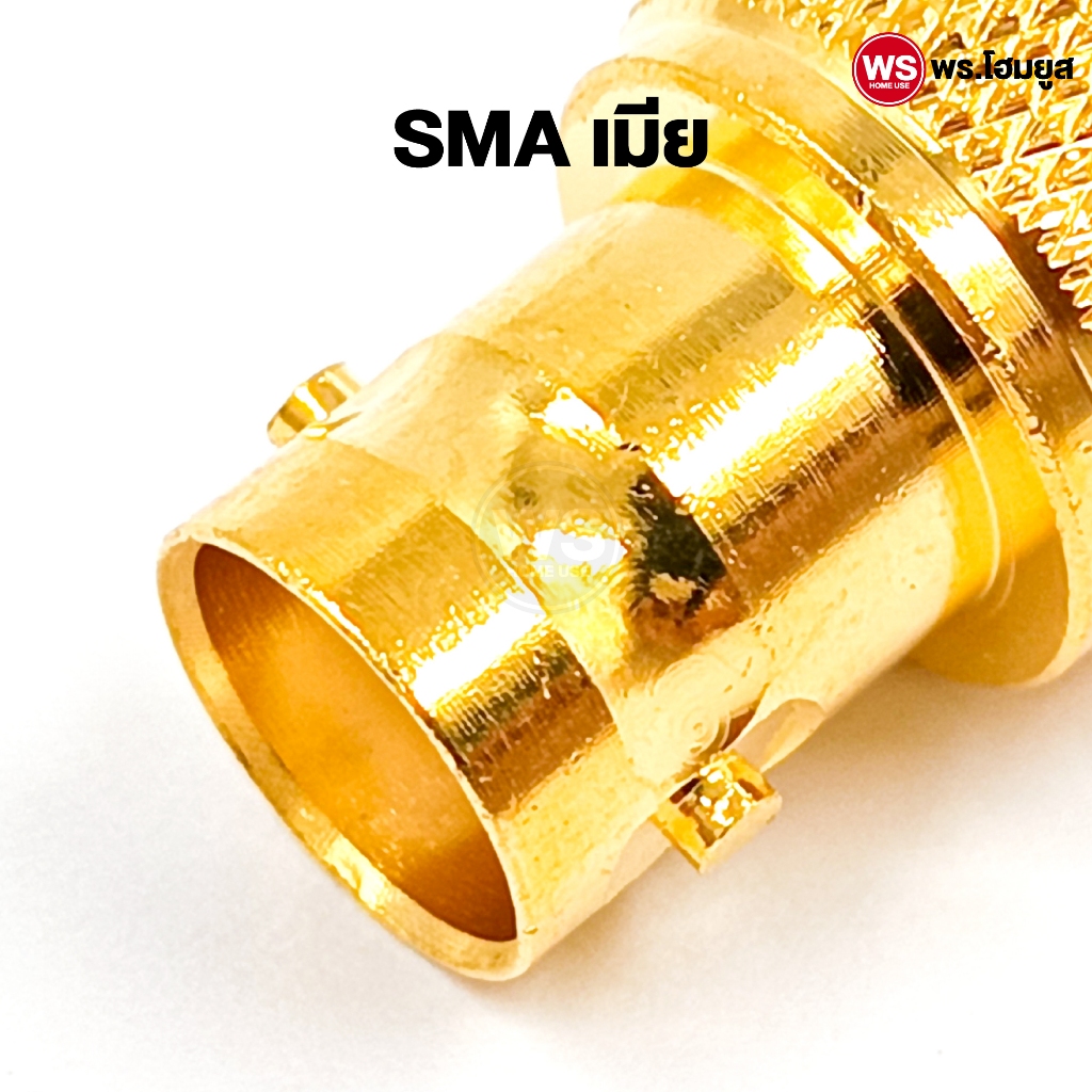 รูปภาพ 6