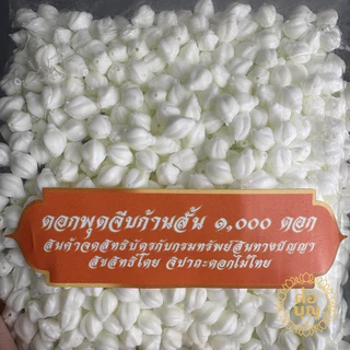 ดอกพุดจีบก้านสั้น พลาสติก 13มิล หัวดอกพุด 500/1000 ดอก ทำอุบะ พวงมาลัย พานขันหมาก พร้อมส่ง