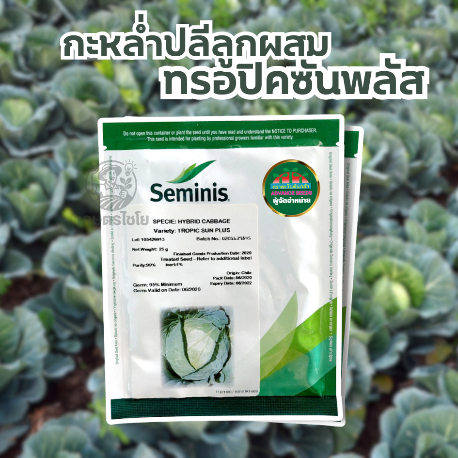 เมล็ดพันธุ์กะหล่ำทรอปิคซันพลัส ขนาด 25 กรัม