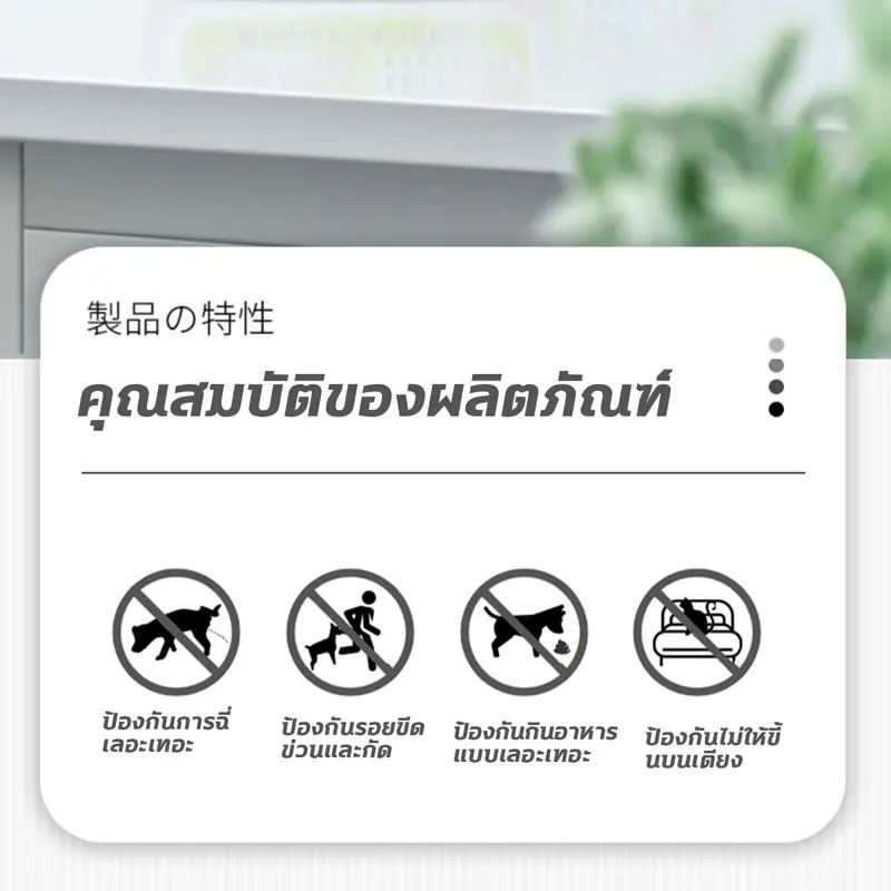 แมวได้กลิ่นวิ่งหนีทันที สเปรย์ไล่แมว ที่ไล่แมว ยาไล่แมวขี้ กันแมวฉี่ ที่กันแมว ไล่แมวจรจัด ไล่สุนัข ยาไล่หมา 100ml ราคา ถูกที่สุด ดีลบีเคเค แกลเลอรีภาพที่ 3
