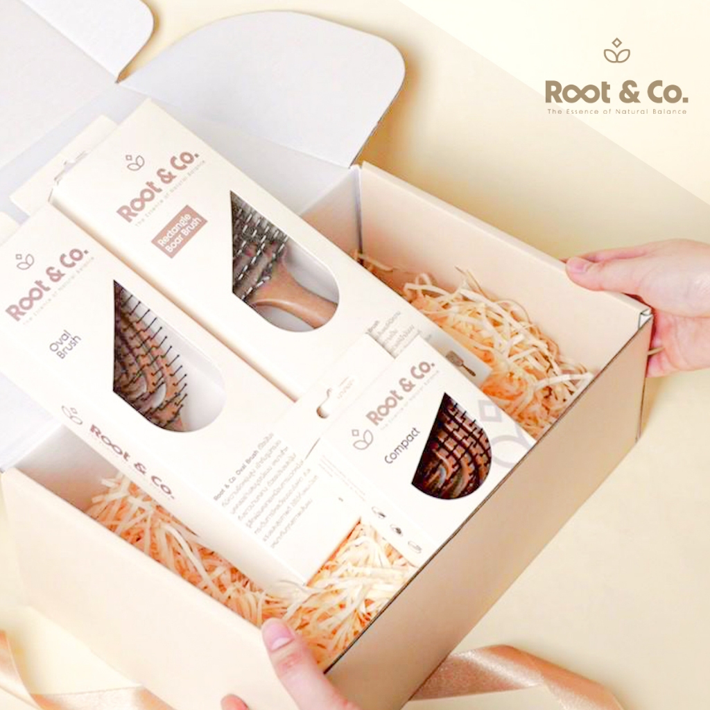 Root & Co. Gift Set แปรง 3 ชิ้น เลือกคละได้ ใหญ่ 2 + เล็ก 1  (กดเลือกซื้อ 1 ชิ้น แล้วทักข้อความแจ้งอ