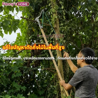 💥จัดส่งที่รวดเร็ว💥กรรไกรตัดกิ่งไม้สูง ฟรีเชือก1.5M ตัดแต่งสวน ตัดแต่งผลไม้ ตัดแต่งกิ่งไม้ ประหยัดเวลาและแรง ไม่มีเสา