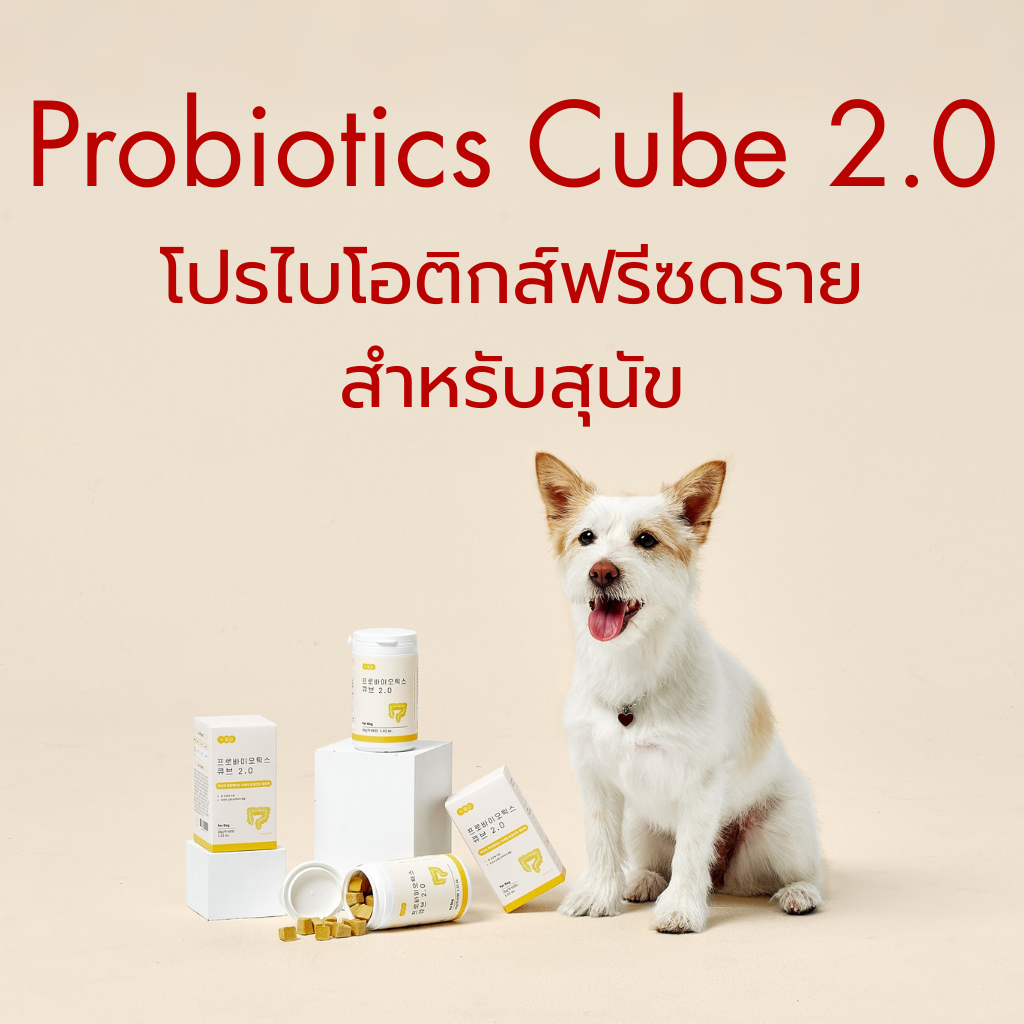 [JAYU PET] SUPLDAEM - Probiotic Cube 2.0 โปรไบโอติกสุนัขแมว ช่วยขับถ่าย ลำไส้แข็งแรง ลดท้องเสีย แก้ท้องผูก