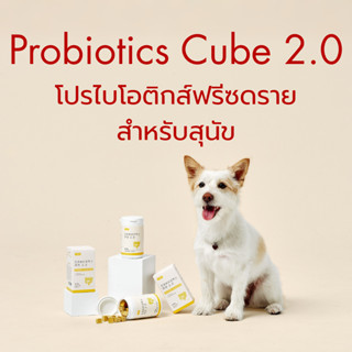 [JAYU PET] SUPLDAEM - Probiotic Cube 2.0 โปรไบโอติกสุนัขแมว …