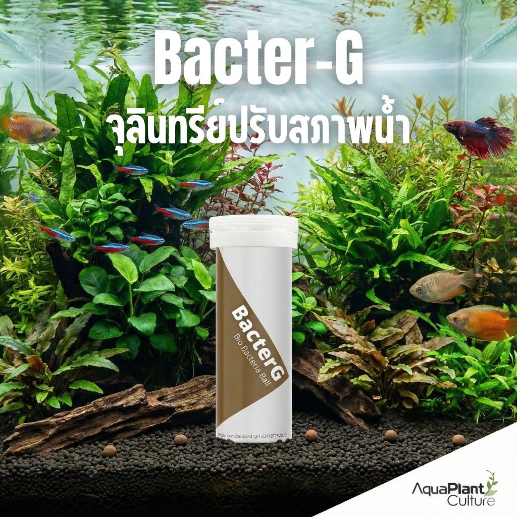 แบคตั้งตู้ที่ดีที่สุด Bacter G Bio Bacteria Ball จุลินทรีย์ปรับสภาพน้ำในตู้ปลา - ตู้ไม้น้ำ ส่งเสริมส