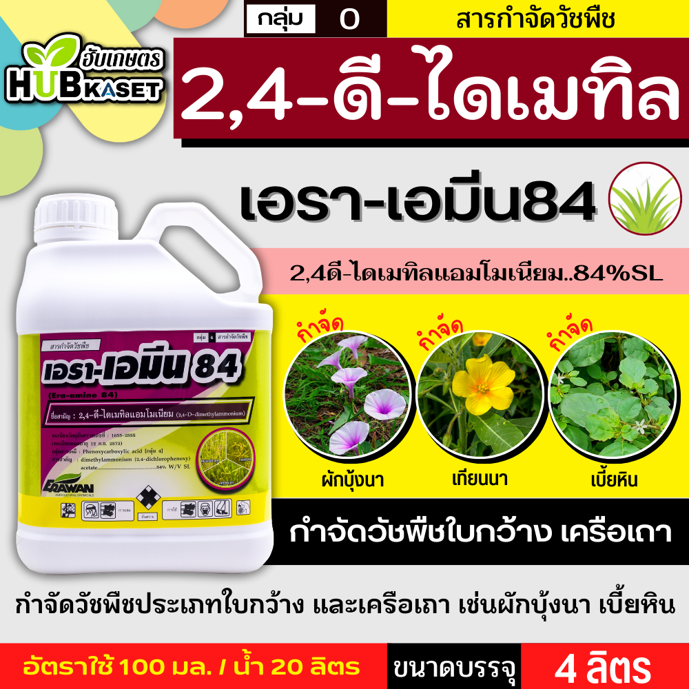 เอรา-เอมีน84 4ลิตร (2,4 ดี-ไดเมทิลแอมโมเนียม) กำจัดวัชพืช ใช้หลังวัชพืชงอก ใบกว้างและกก