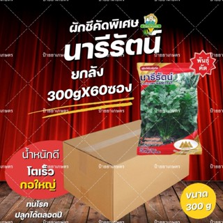 ผักชี นารีรัตน์ 🌿ยกลัง 60 ซอง🌿 300กรัม ตัวดังยอดนิมยม กอใหญ่…
