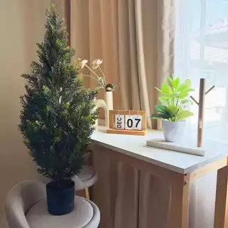 ต้นสน ( Cypress Tree) ต้นสนคริสต์มาส ต้นไม้ปลอม ต้นไม้ตกแต่งบ้าน แต่งสวน [ สินค้าพร้อมส่งจากไทย ]