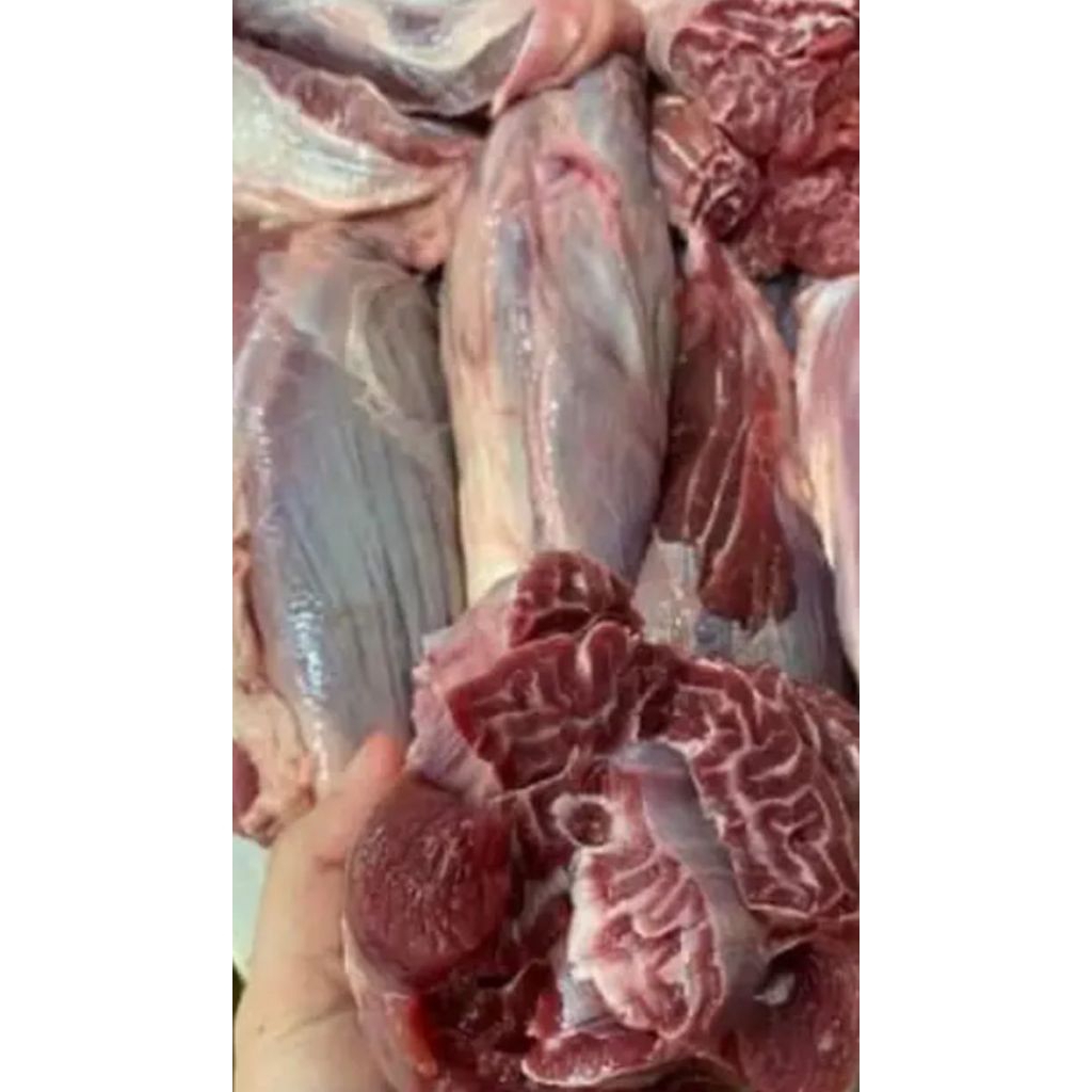 น่องลายวัว [Cow shank] ฮาลาล ลวกจิ้มฟินมาก เคี้ยวดังกรึบๆ ตุ๋น สตูว์ ให้ 1 กิโล ส่งฟรี