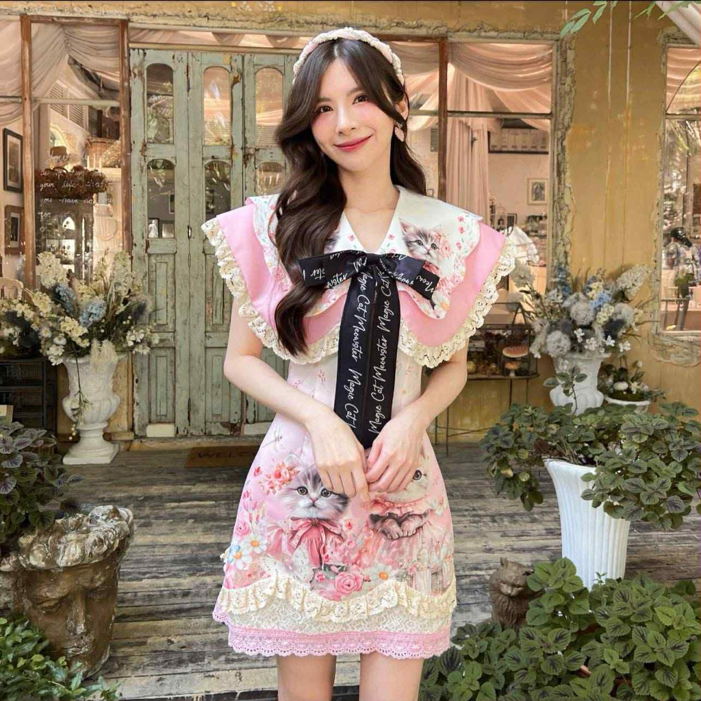 BLT มือ 1 ป้ายห้อย ไซส์ XXL น้อนแมวปกใหญ่งานตามหา