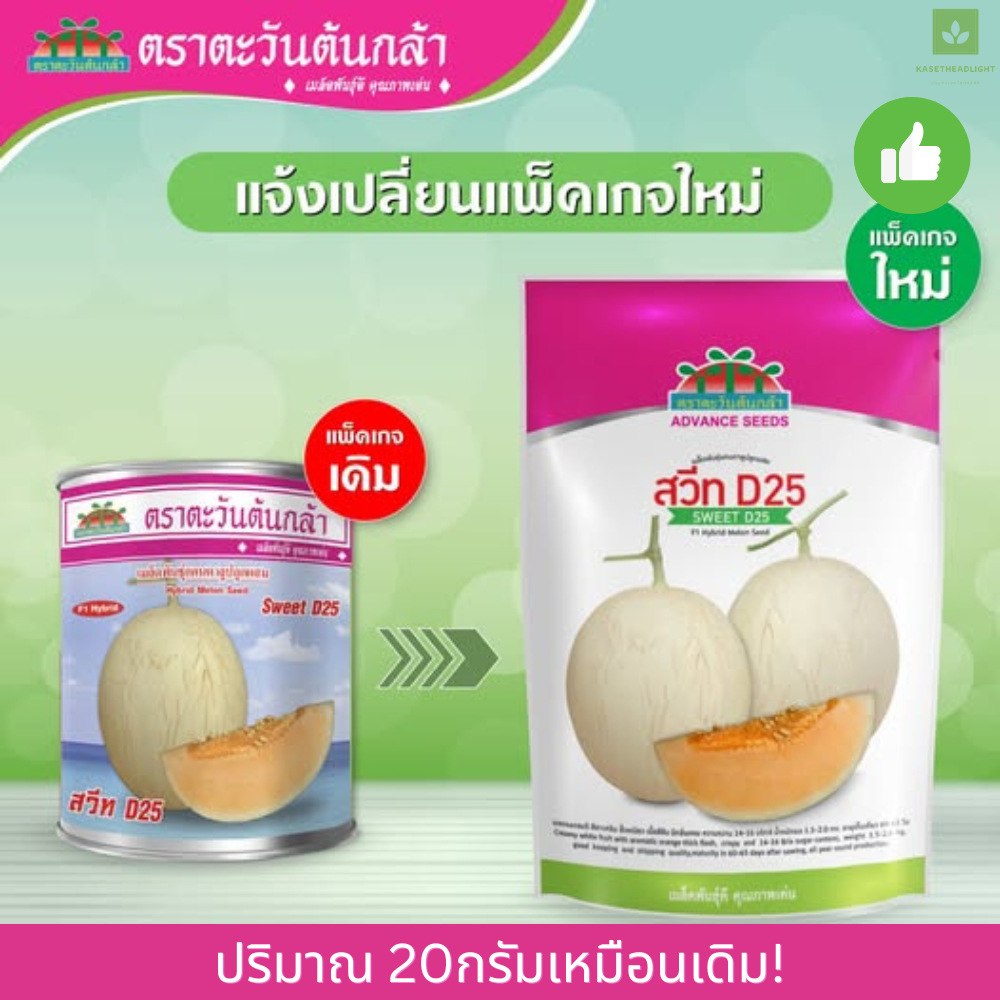 20กรัม เมล็ดพันธุ์ แคนตาลูป สวีทดี25 D25 ตราตะวันต้นกล้า ดี25 – โปรปัง