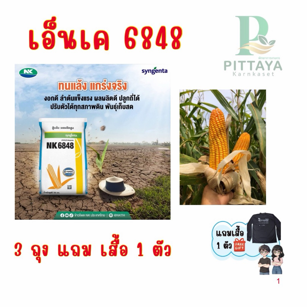 เมล็ดพันธุ์ข้าวโพด NK6848 ขนาด 10 กิโล