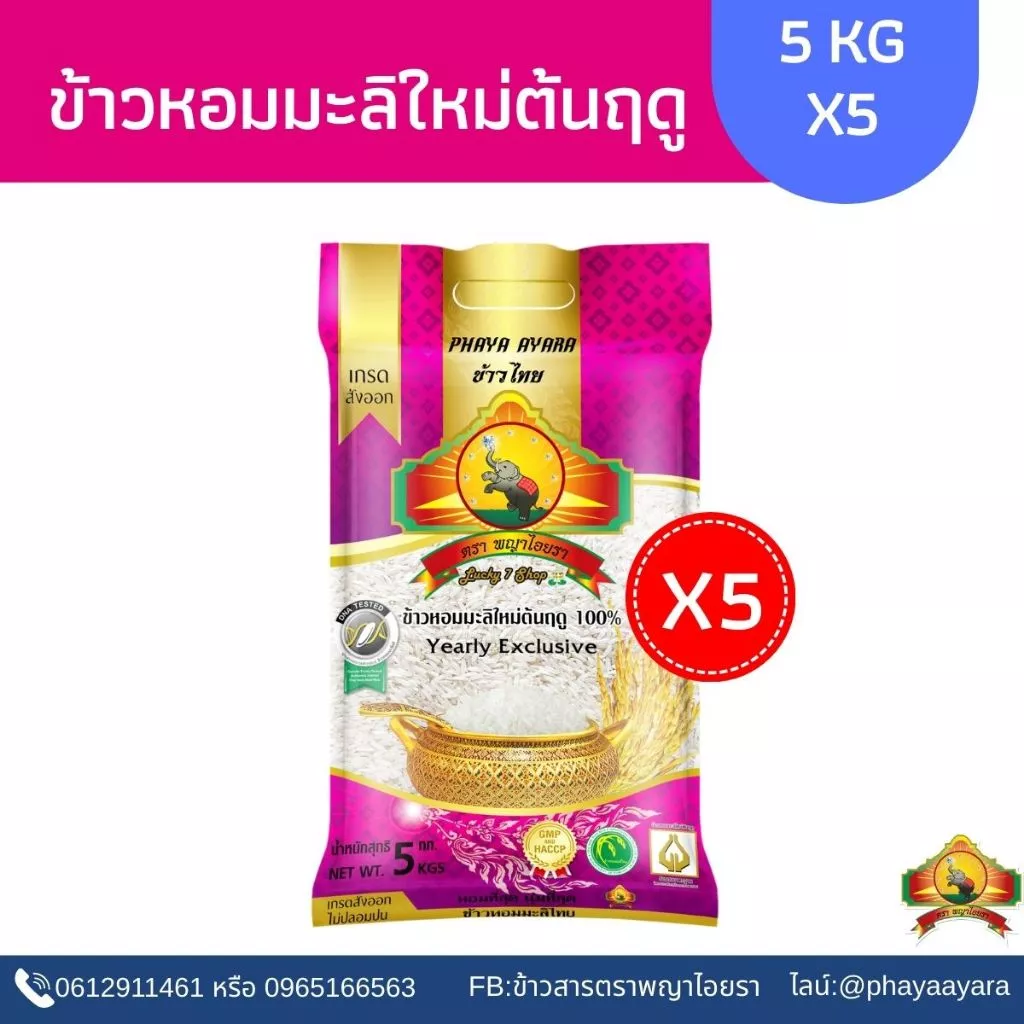 8.8 ลดสุด (แพ็ก5)(ปี69)ข้าวหอมมะลิต้นฤดู100% Size5KG