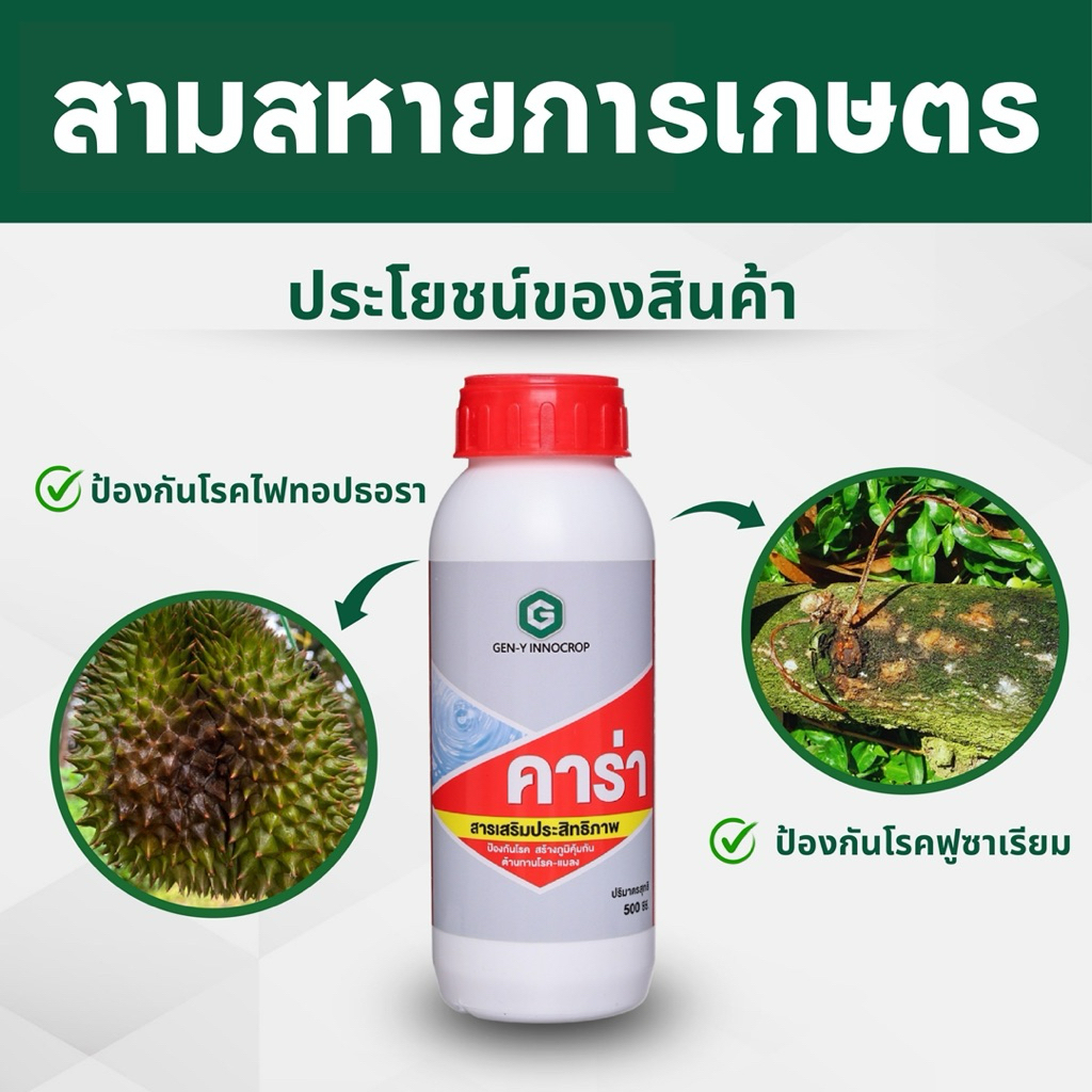[คาร่า] สารเสริมประสิทธิภาพป้องกันโรค รากเน่า โคนเน่า ไฟทอปธอรา ฟูซาเรียม สร้างภูมิคุ้มกันต้านทานโรค-แมลง ขนาด500ซีซี