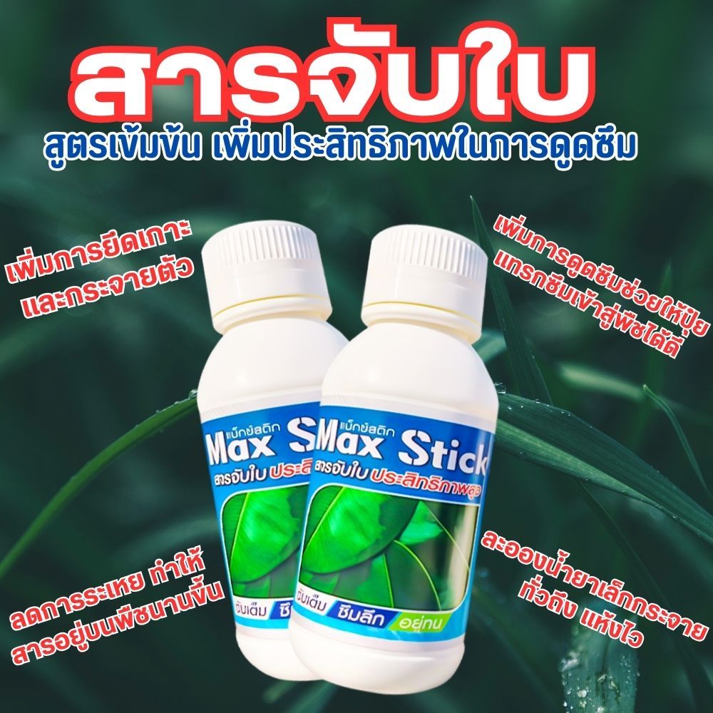 สารจับใบสูตรเข้มข้น ช่วยให้พืชดูดซึมสารได้ดี ทนต่อการชะล้างของสภาพอากาศ ด้วยสูตรแม็กสติกกสติ๊ก