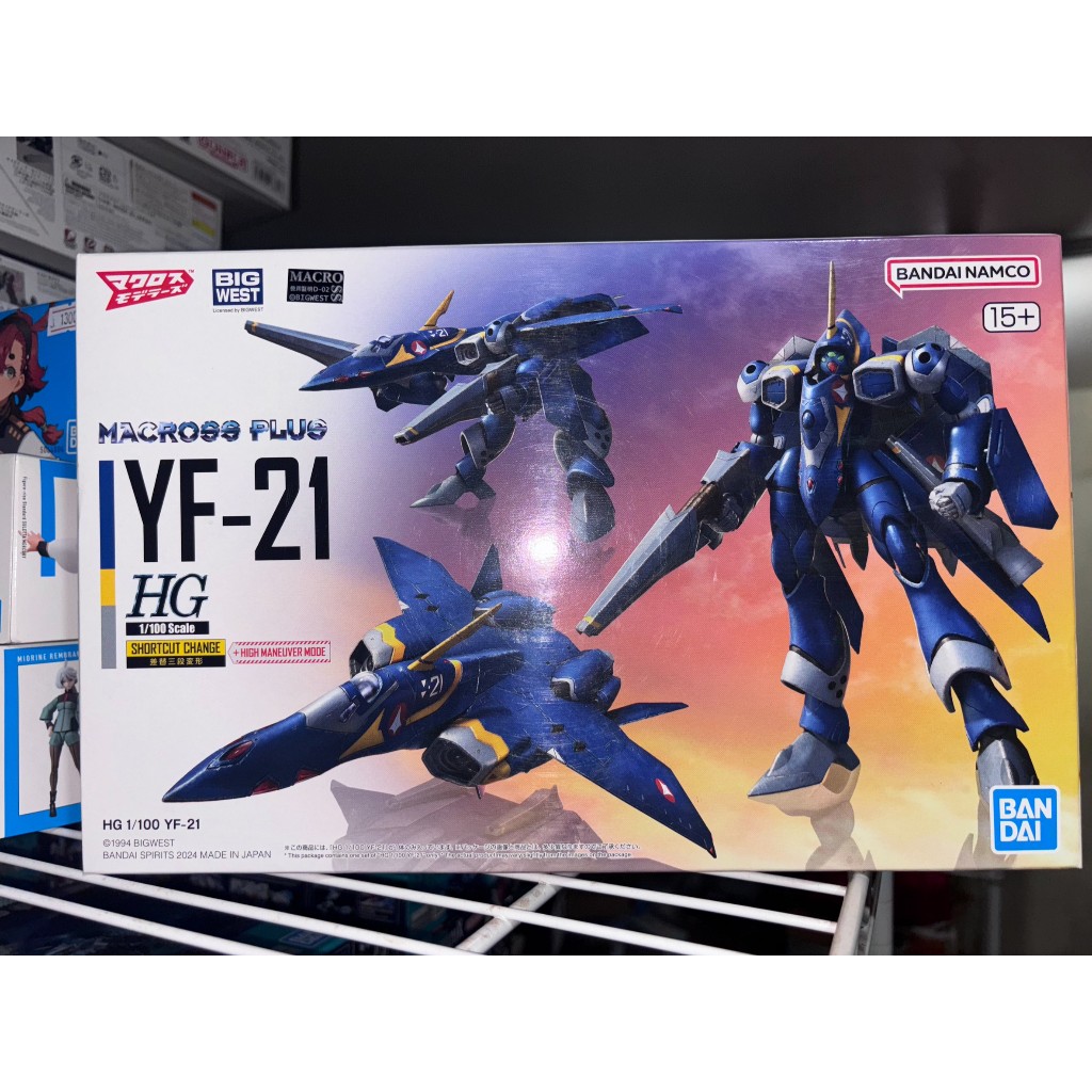 [Bandai] HG 1/100 YF-21