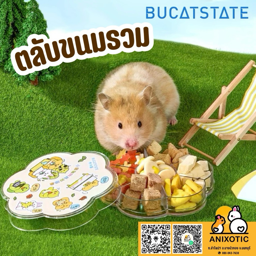 Bucatstate [ตลับขนมรวม] ขนมแฮมสเตอร์ ขนมดัมโบ้
