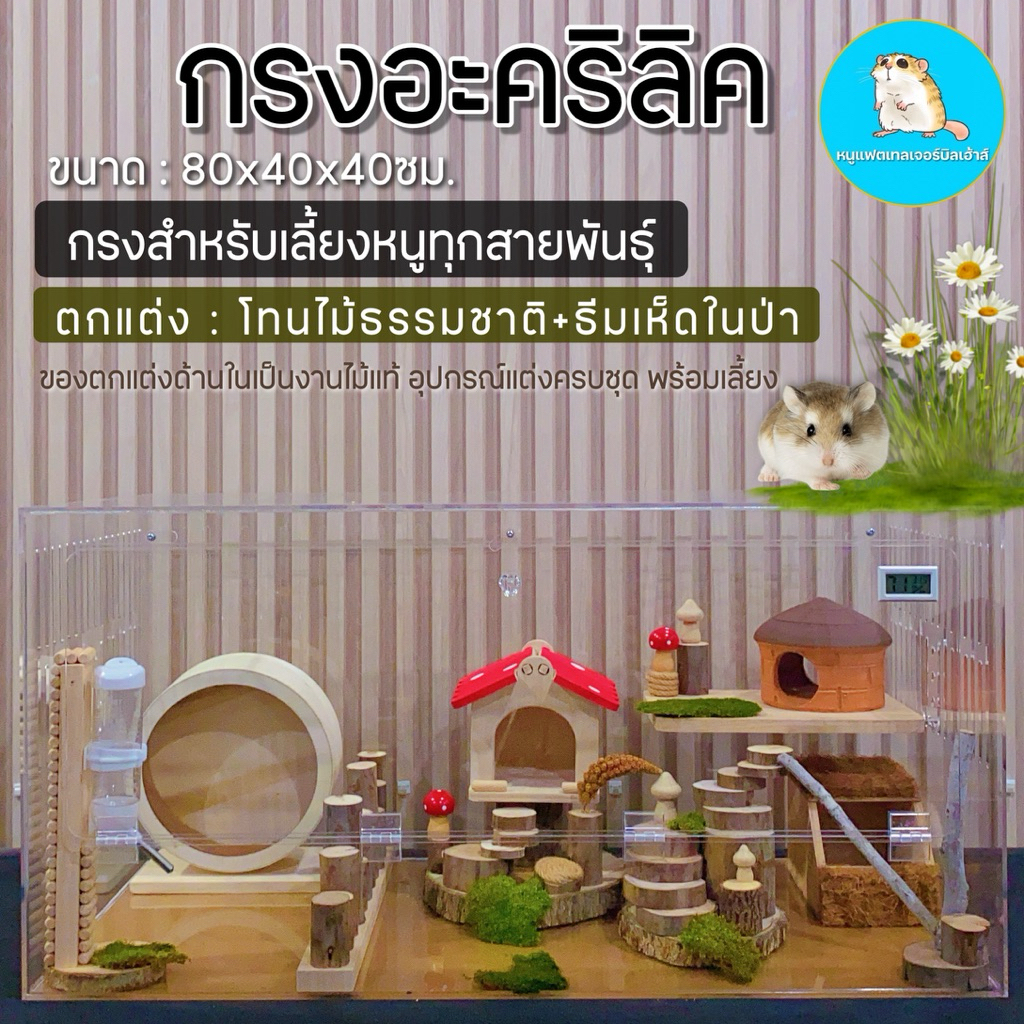 กรงอะคริลิคหนู🐹แฮมเตอร์ แฟตเทล 80x40ซม./บ้านหนู ไจแอนท์ วินเทอร์ไวท์ ดอร์เม้าส์ ของเล่น ของแต่งกรง