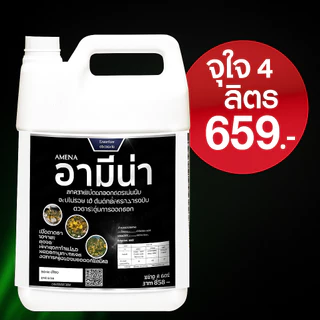 เปิดตาดอก อามีน่า 4ลิตร เปิดตาดอก ดอกดก สาหร่ายอะมิโน ติดดอก ผลดก บำรุงดอก บำรุงผล แกลอนใหญ่