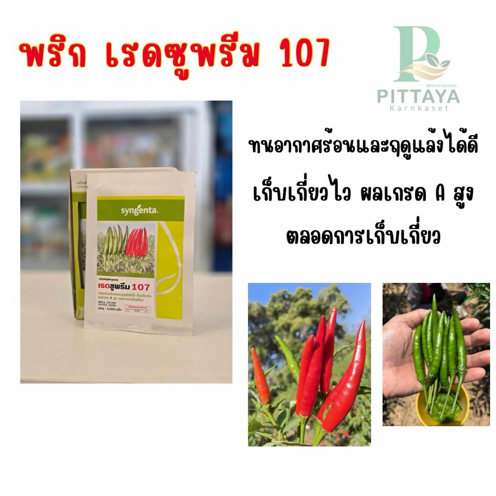 (ล็อตใหม่) เมล็ดพันธุ์พริก เรดซูพรีม 107 ขนาด 5000 เมล็ด