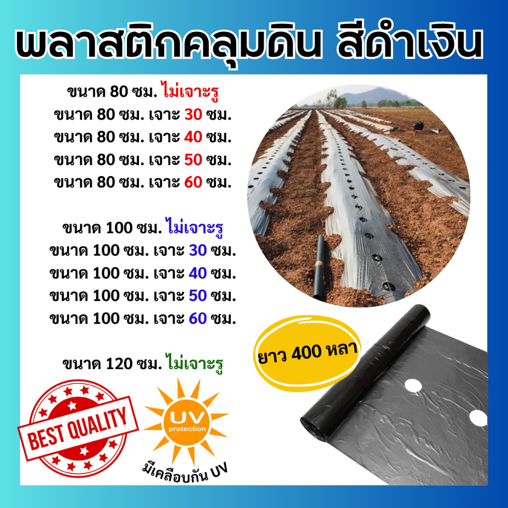 พลาสติกคลุมดินสีดำเงิน กว้าง 0.8 เมตรและ 1 เมตร ยาว 400หลา (360เมตร) แบบเจาะรูและไม่เจาะรู เกรดอย่างดี