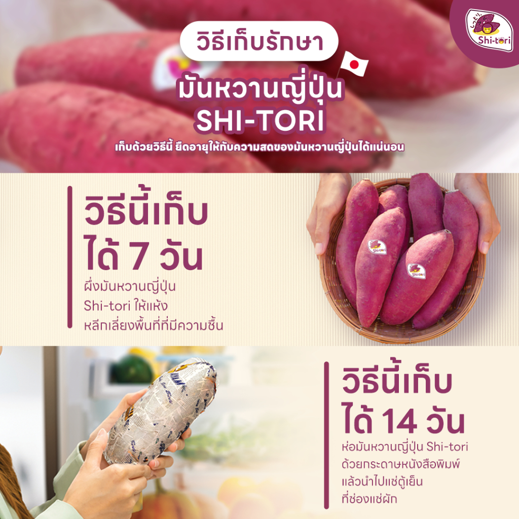 ShiTori | มันหวานญี่ปุ่น เบนิฮารุกะ Size M แพ็ค 500G. / 1Kg / 2Kg / 3Kg - 4