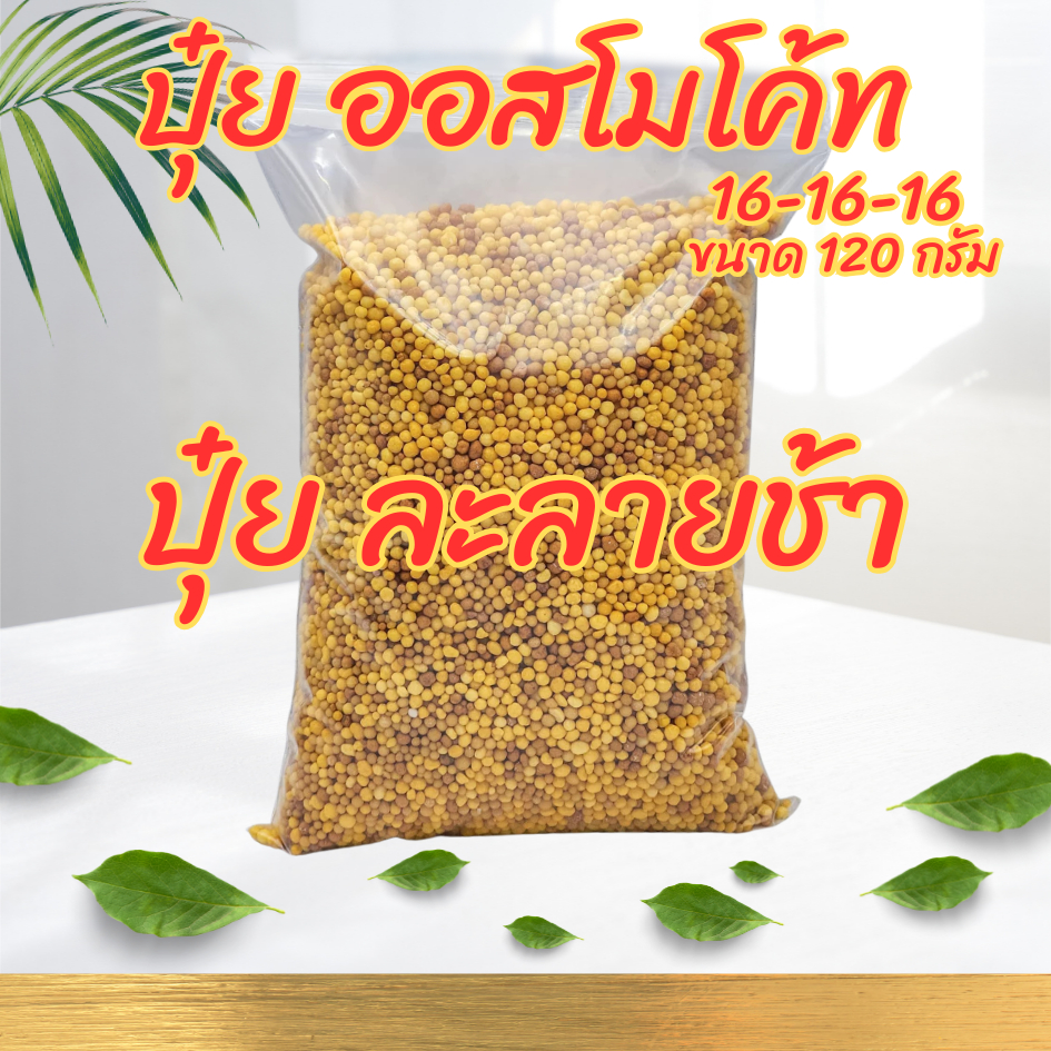 ปุ๋ยออสโมโค้ท 16-16-16 ปุ๋ยละลายช้า ขนาด 120 กรัม ให้สารอาหารต่อเนื่อง 4 เดือน สำหรับพืชทุกชนิด
