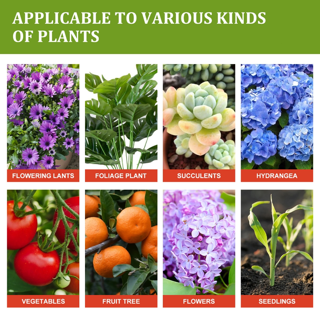 RCYAGO น้ำยาเร่งรากพืช 50ml สูตรเข้มข้น เร่งโต บำรุงราก ฟื้นฟูต้นไม้ ใช้ได้ทุกพืช - รูปที่ 2