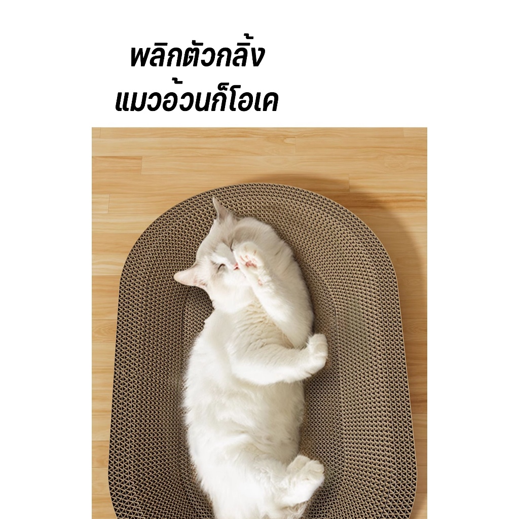 [BDS]คณะกรรมการขีดข่วนแมว ที่ฝนเล็บแมว ที่ลับเล็บแมว ของเล่นแมว เป็นที่นอนแมวไปในตัว ของเล่นแมว - รูปที่ 2