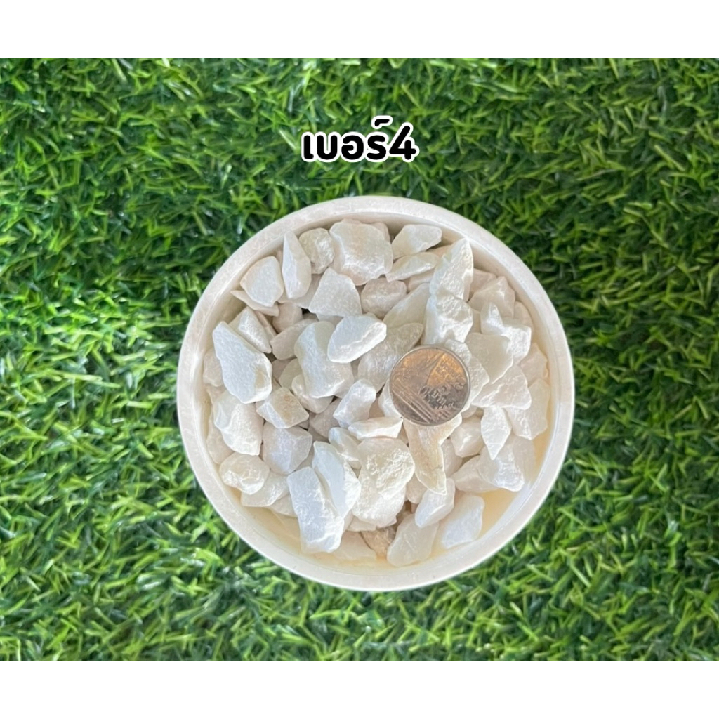 หินเกล็ดขาวคัด5กิโล 10กิโล  เบอร์1-5 แต่งสวน โรยกระถาง ตู้ปลา รบกวนลูกค้าเทียบขนาดให้ดีก่อนสั่งซื้อ ราคา ถูกที่สุด ดีลบีเคเค แกลเลอรีภาพที่ 5