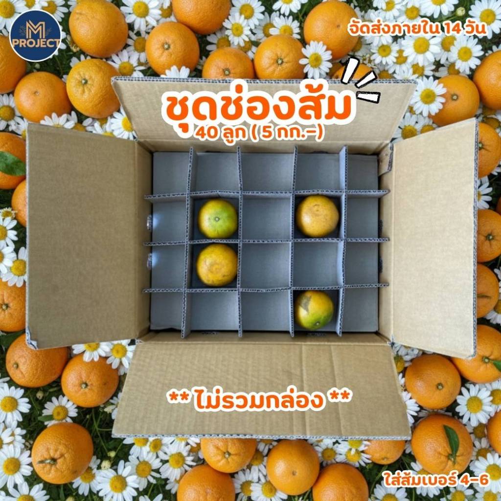 ชุดตารางส้ม 40 ช่อง **ไม่รวมกล่อง**.  ( จำนวนแพ็ค 10 / 20 )