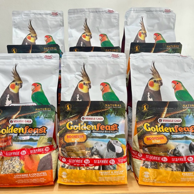 เม็ดสี G14 TROPICAL 3 KG + ธัญพืชรวม Goldenfeast (สุ่ม)