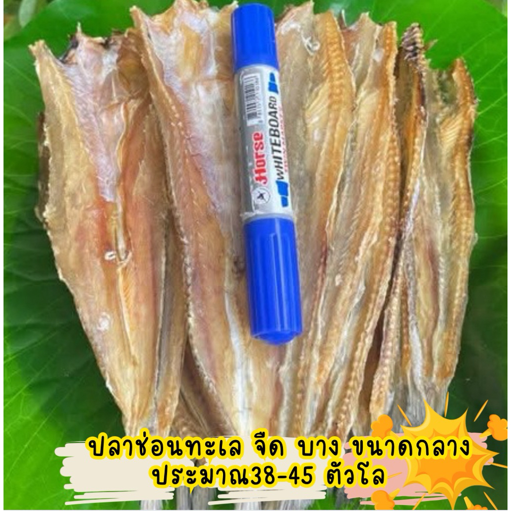ปลาช่อนทะเลตาก ไซด์กลาง จืด เนื้อบาง ไม่เค็มนะคะนัวมันกำลังพอดีกินเลยขนาดตัวปลา 38-45 ตัวโล ตากแห้งสนิทพร้อมส่งค่ะ