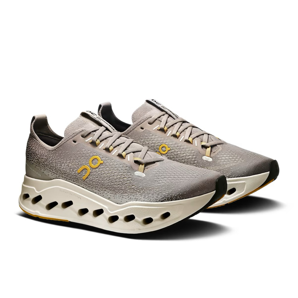 Oncloud Cloudsurfer Max