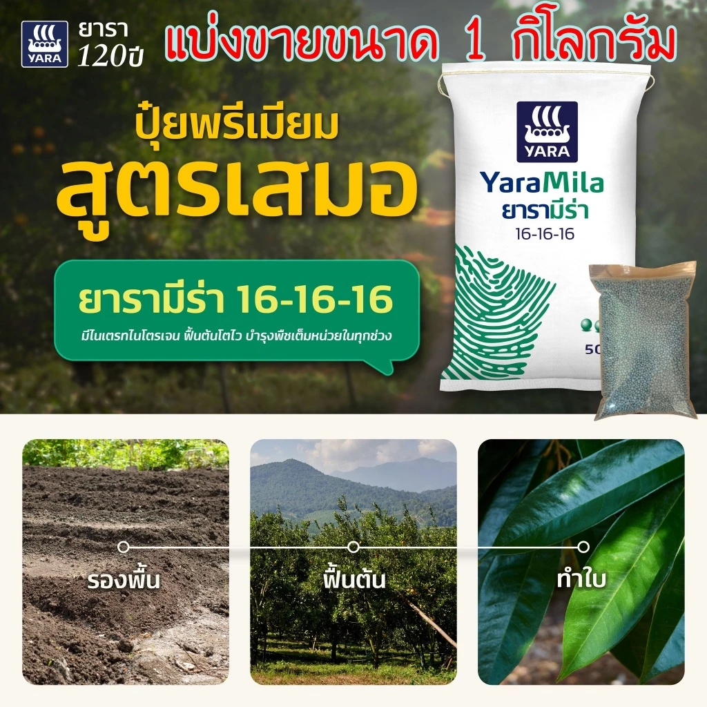 ปุ๋ยยาร่า สูตร 16-16-16 แบ่งขายขนาด 1 กิโลกรัม (เม็ดสีฟ้า)