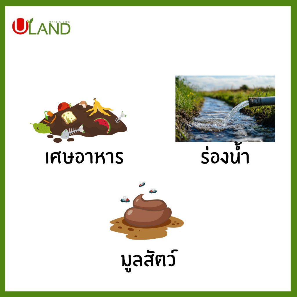 ULAND EM Powder Bio-3 ชุด 10 ถุง จุลินทรีย์ย่อยสลายอินทรียวัตถุในดิน/เศษพืช/ตอซังข้าว และน้ำธรรมชาติ - รูปที่ 2