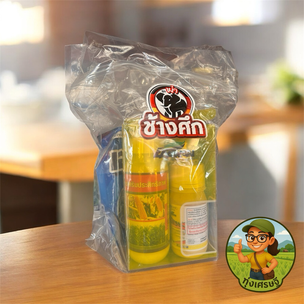 ยารัวข้าวโพด ชุดช้างศึกฆ่าใช้กำจัดวัชพืชหลังงอกมีใบอ่อน 3-5 ใบพ่นทับยอดข้าวโพดได้เลย ห้ามใช้กับ NK68